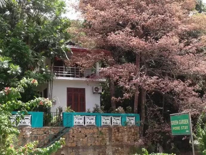 Green Garden Homestay Giritale Exterior foto